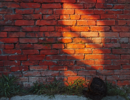 Emotional Resilience and the Brick Wall
